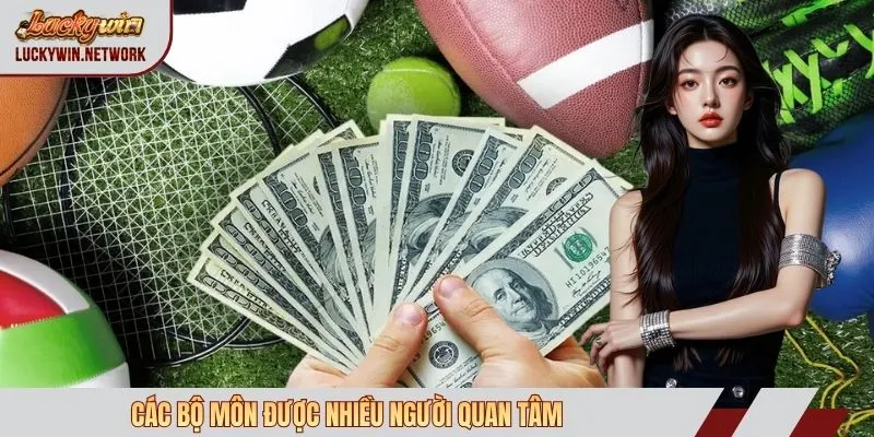 Các bộ môn được nhiều người quan tâm