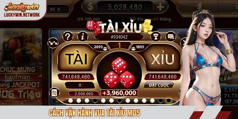 Cách vận hành vua tài xỉu md5