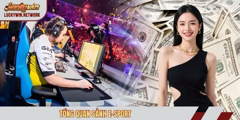 Tổng quan sảnh e-sport